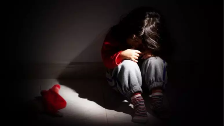Mãe Dá Entrada Em Pronto Atendimento Com Filha De 8 Anos Apresentando Sinais De Estupro Ethos 