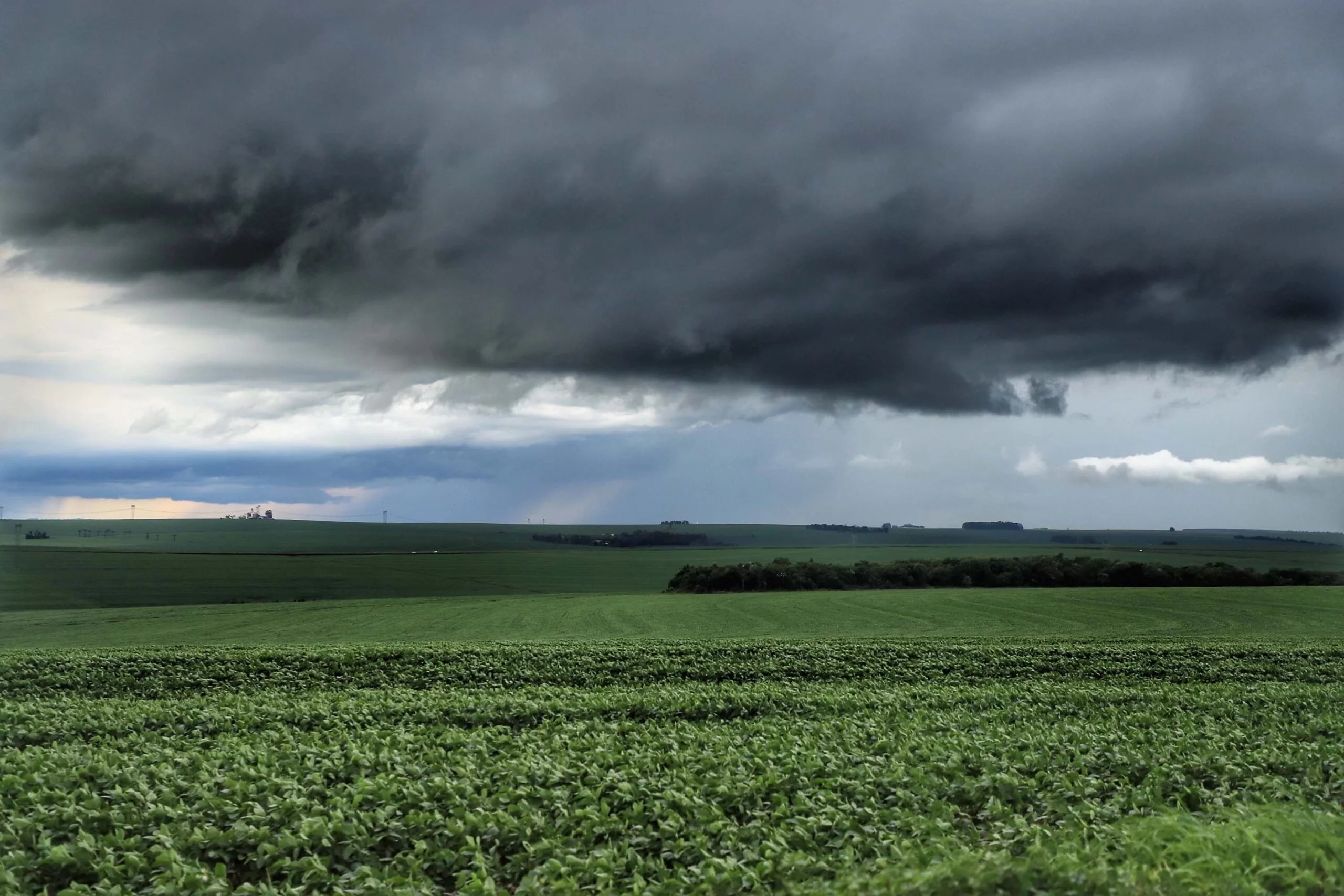 Chuvas irregulares e altas temperaturas impactam cultivos 