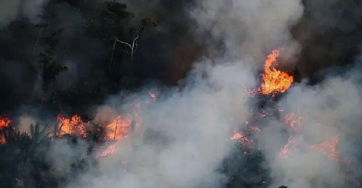 Amazônia registra recorde de incêndios em fevereiro