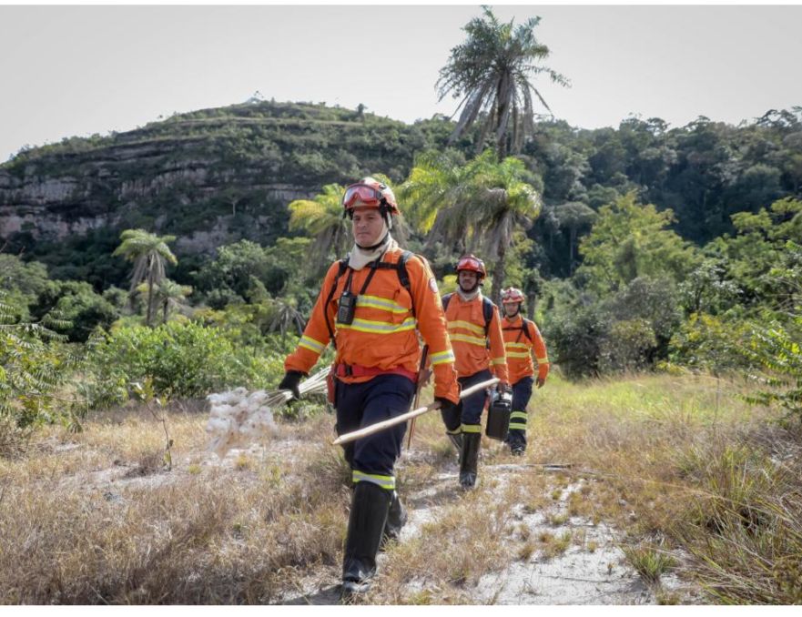 QUEIMA PRESCRITA – Corpo de Bombeiros faz mais uma ação de prevenção aos incêndios florestais em Chapada dos Guimarães
