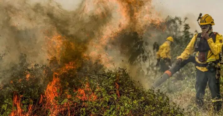 Fogo se espalha pelo Pantanal, e bioma chega a 1,3 milhão de hectares afetados