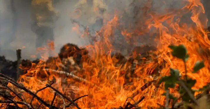 Amazônia registra recorde de queimadas para o mês de agosto em 14 anos