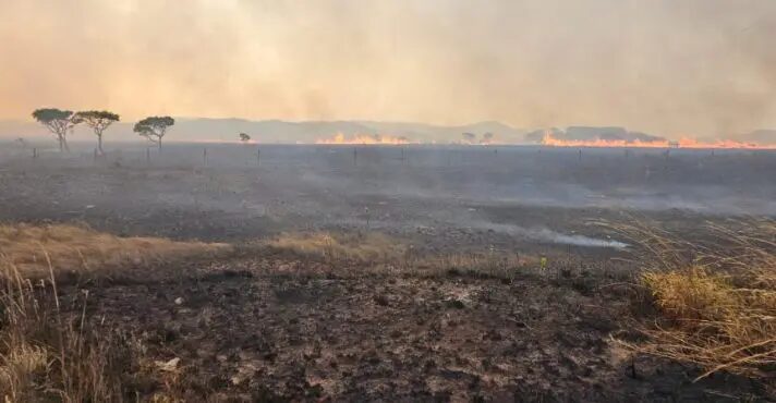 Incêndio devasta 10 mil hectares na Chapada dos Veadeiros