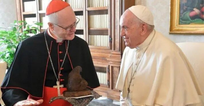 ‘Não será surpresa’ se próximo papa for da África ou Ásia, diz dom Odilo