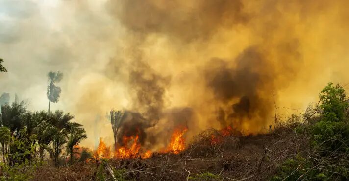Brasil registra 1,6 mil focos de queimadas em abril
