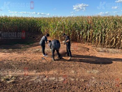Homem é executado e deixado em plantação perto de rodovia em MT