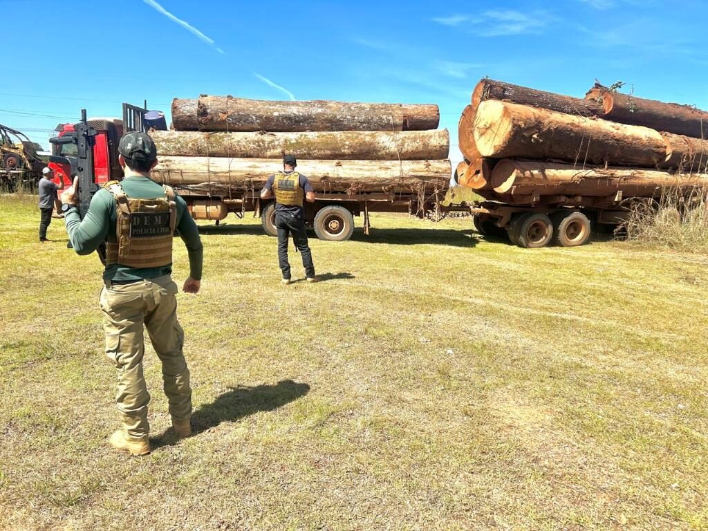 Polícia apreende caminhões carregados de madeira em uma operação contra desmatamento em MT