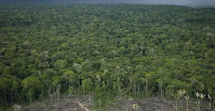 Desmatamento quase dobra na Amazônia