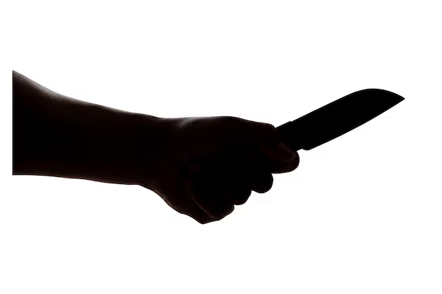 Homem é esfaqueado pela companheira em bebedeira em MT