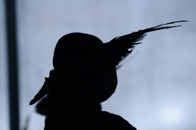 Homem de 53 anos é denunciado por estuprar índia de 14 em MT