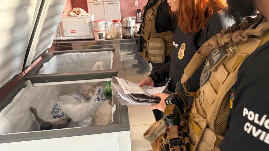 Polícia combate comércio ilegal na Feira do Porto e apreende três toneladas de pescado em MT