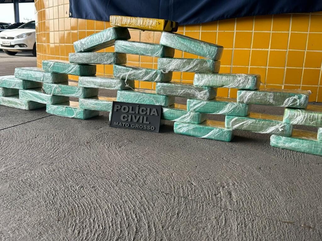 Forças de Segurança apreendem 30 tabletes de pasta base que eram transportados em caminhão frigorífico