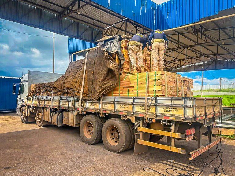 Operação Madeira Nativa V: PRF registra 27 ocorrências de crimes ambientais em 10 dias em Rondonópolis (MT)