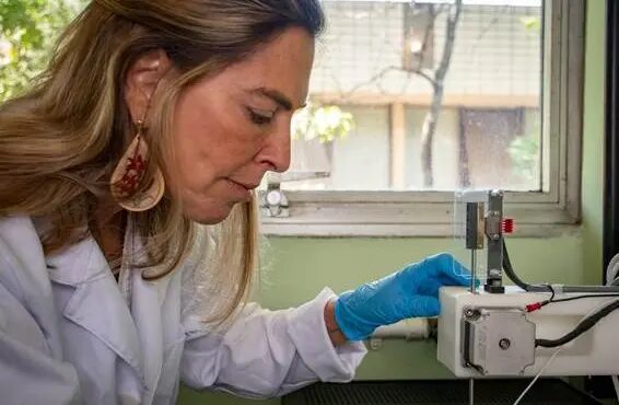 Brasil perdeu patente internacional da polilaminina por falta de verba, diz pesquisadora