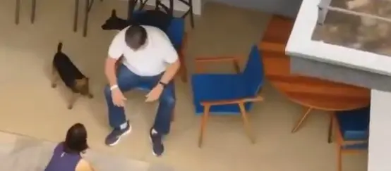 Nikolas Ferreira acusa Globo de invadir privacidade de Bolsonaro