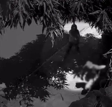 Vídeo flagra atirador descarregando arma contra morador, que sobrevive