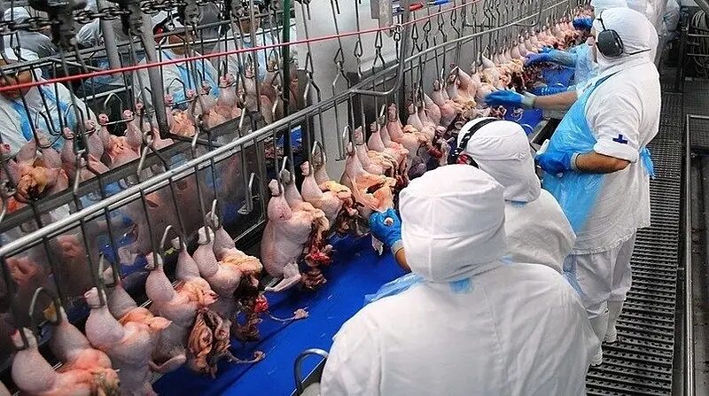 China reabilita 3 frigoríficos brasileiros para exportação de carne bovina