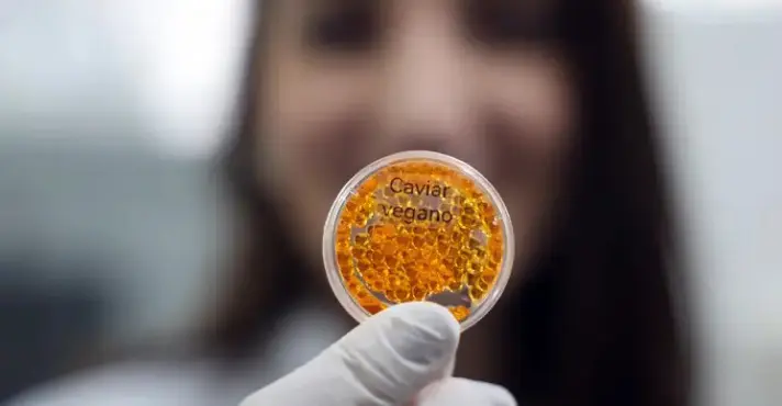 Embrapa cria alimentos vegetais que imitam salmão, caviar e lula