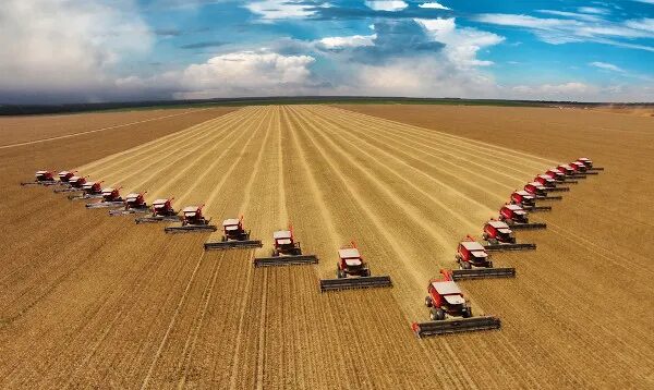 Pedidos de recuperação judicial no agro caem 20,7% no 2º tri, diz Serasa