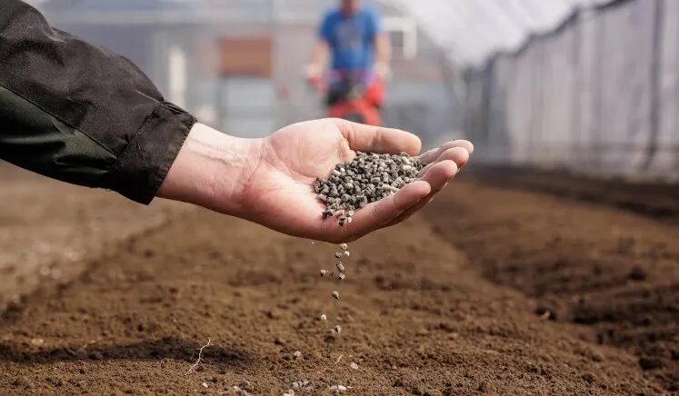 Brasil importa 85% dos fertilizantes e expõe fragilidade do agronegócio